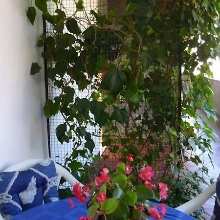 Spacious And Close To The City Center Lägenhet Split